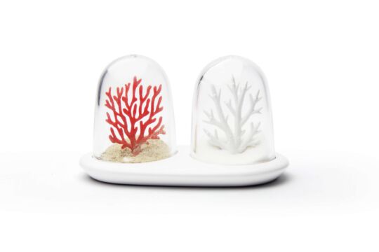 Солонка и перечница Coral Bleaching