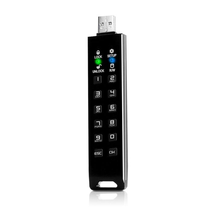 Флешка с аппаратным шифрованием DataLock PRO4 USB 3.2, черный, 256 Гб